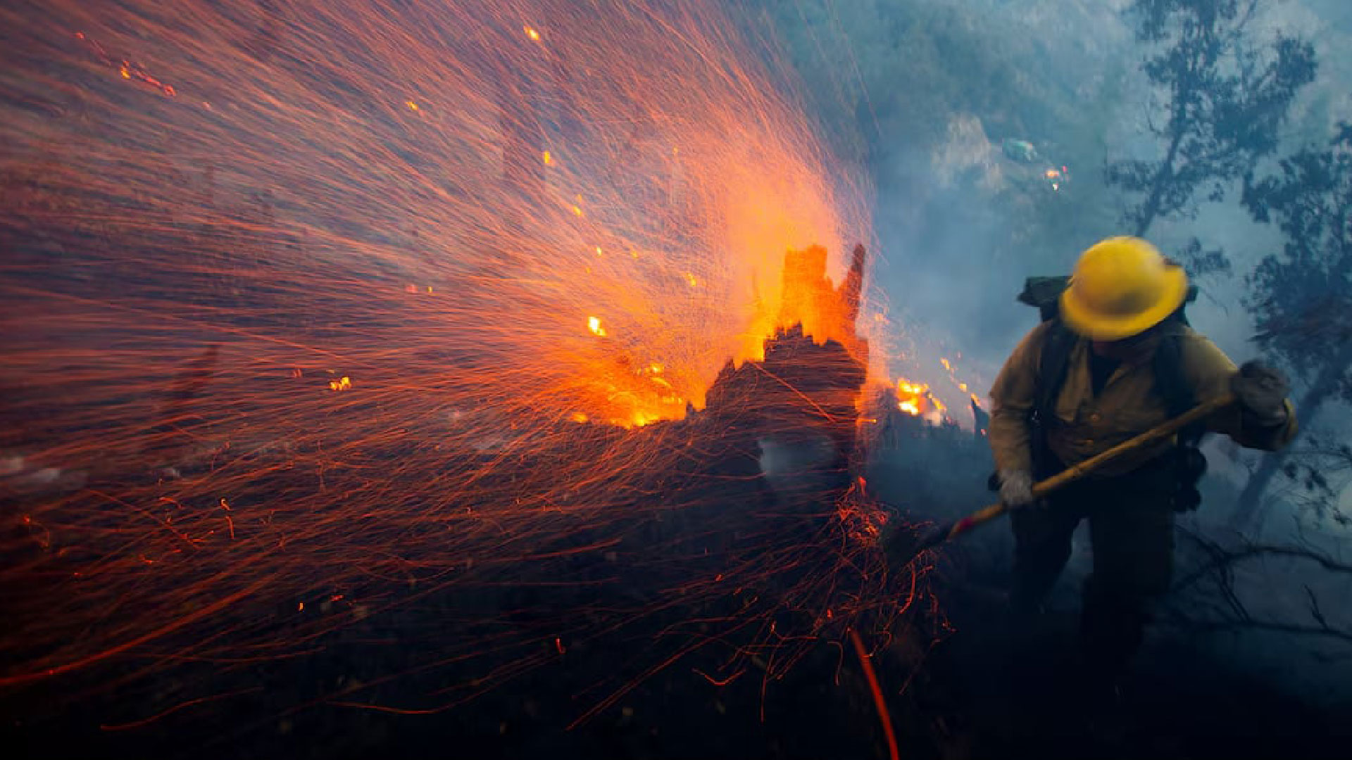 শীতকালে কেন আগুনে পুড়ছে ক্যালিফোর্নিয়া?
