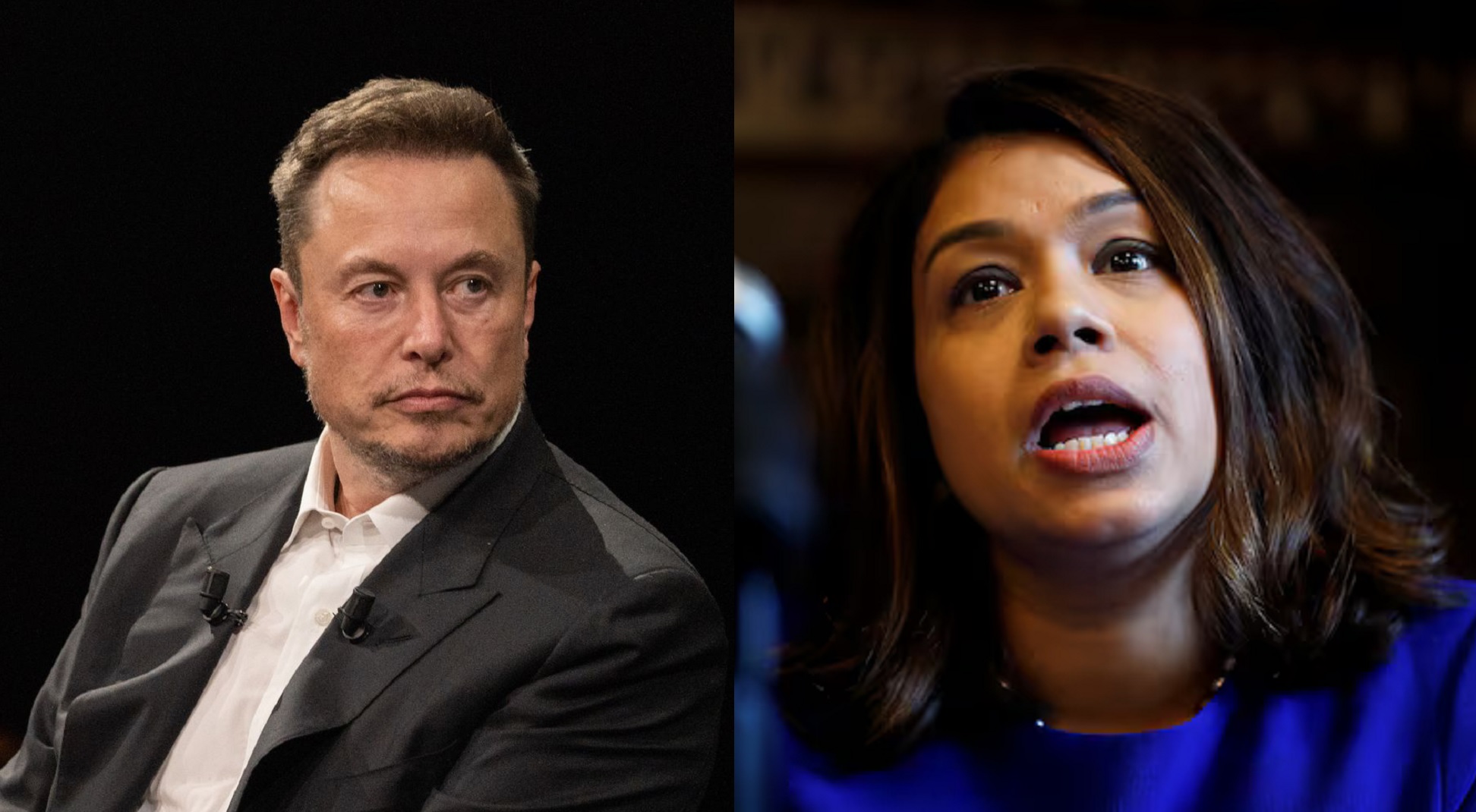 টিউলিপকে নিয়ে ইলন মাস্কের পোস্ট