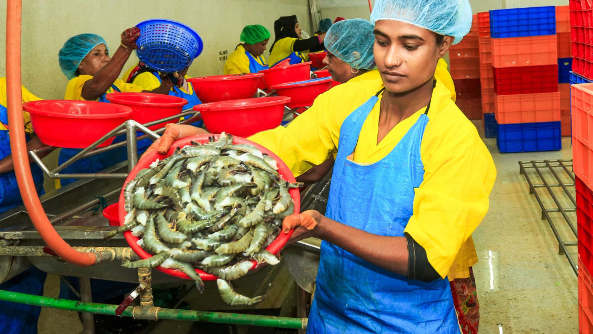৭ বছরে রপ্তানি কমে অর্ধেক, অধিকাংশ কারখানা বন্ধ