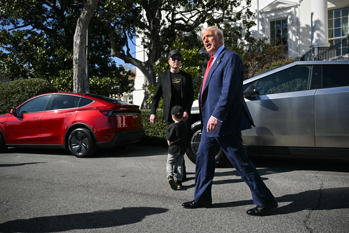 হোয়াইট হাউসের সামনে টেসলাসহ ট্রাম্পের ছবি, বাড়ল শেয়ারের দাম