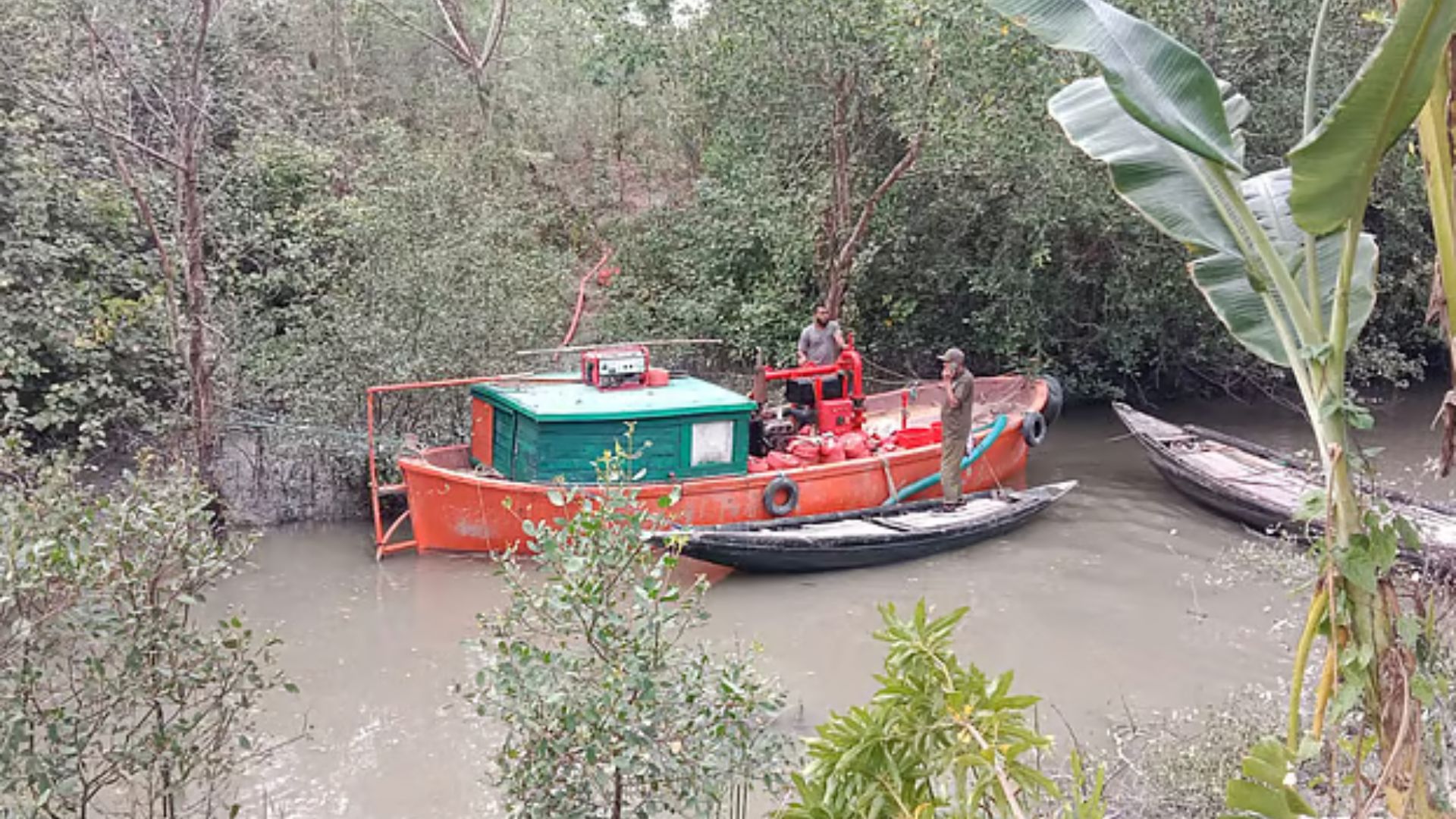 সুন্দরবনের বাগেরহাট অংশে আগুন, নেভাতে বেগ