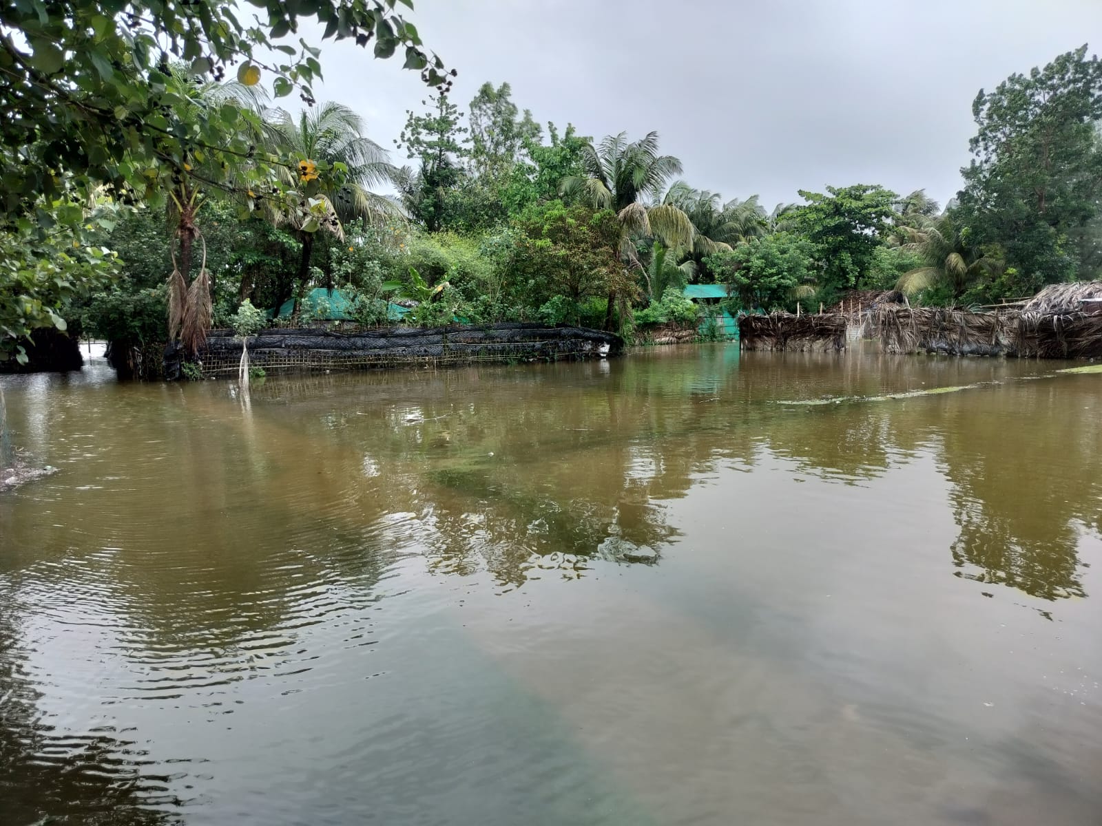 মহেশখালীতে বাঁধ উপচে সাগরের পানি লোকালয়ে, ডুবে একজনের মৃত্যু
