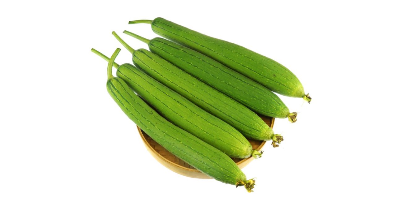 ধুন্দল কেন খাদ্যতালিকায় রাখবেন