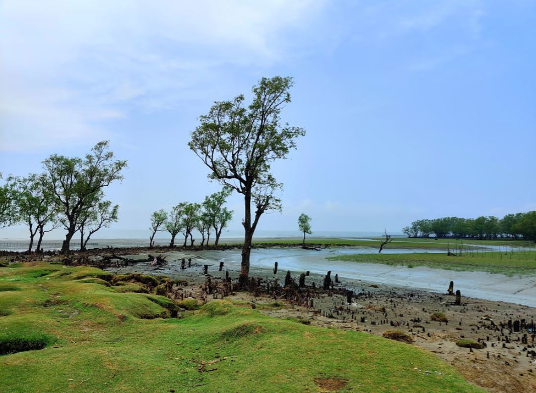গুলিয়াখালী সমুদ্র সৈকত: ঢেউ আর সবুজের মেলবন্ধন