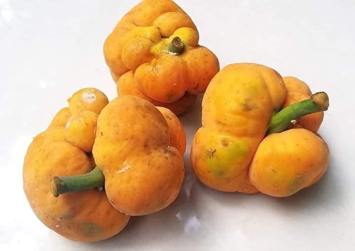 দেশি ফল ডেউয়ার যত গুণাগুণ