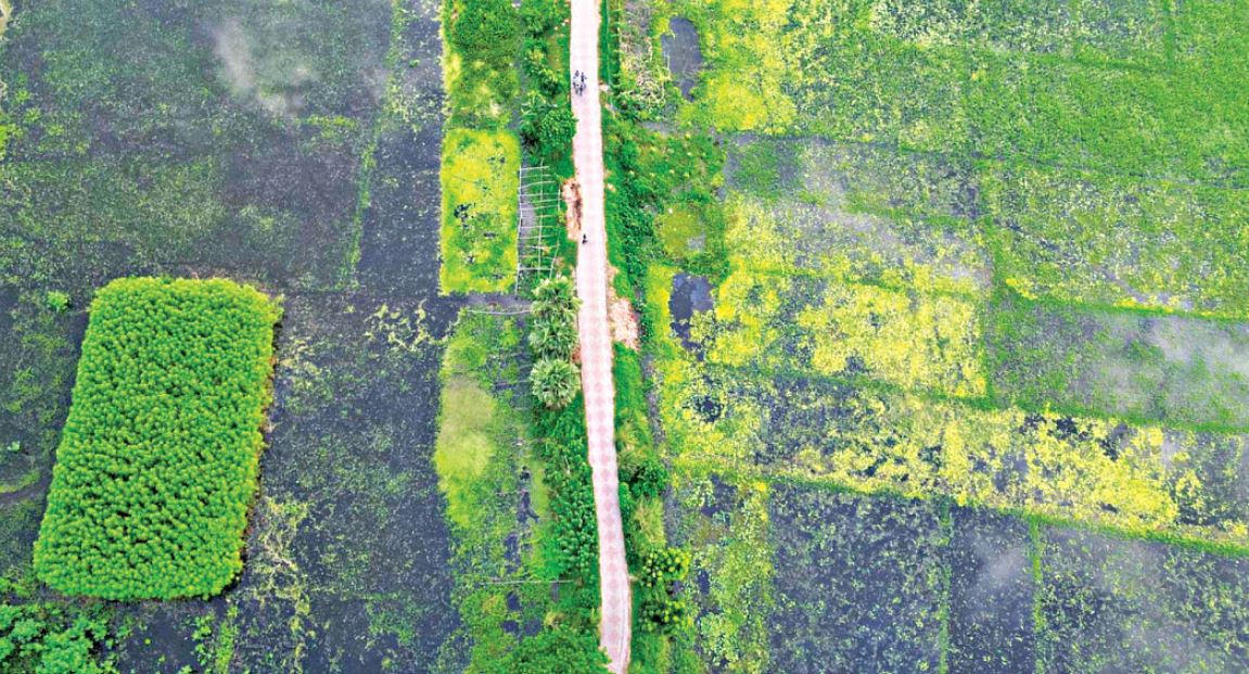 সিন্দুরিয়া: ঢাকার কাছাকাছি এক জীববৈচিত্র্যের স্বর্গ