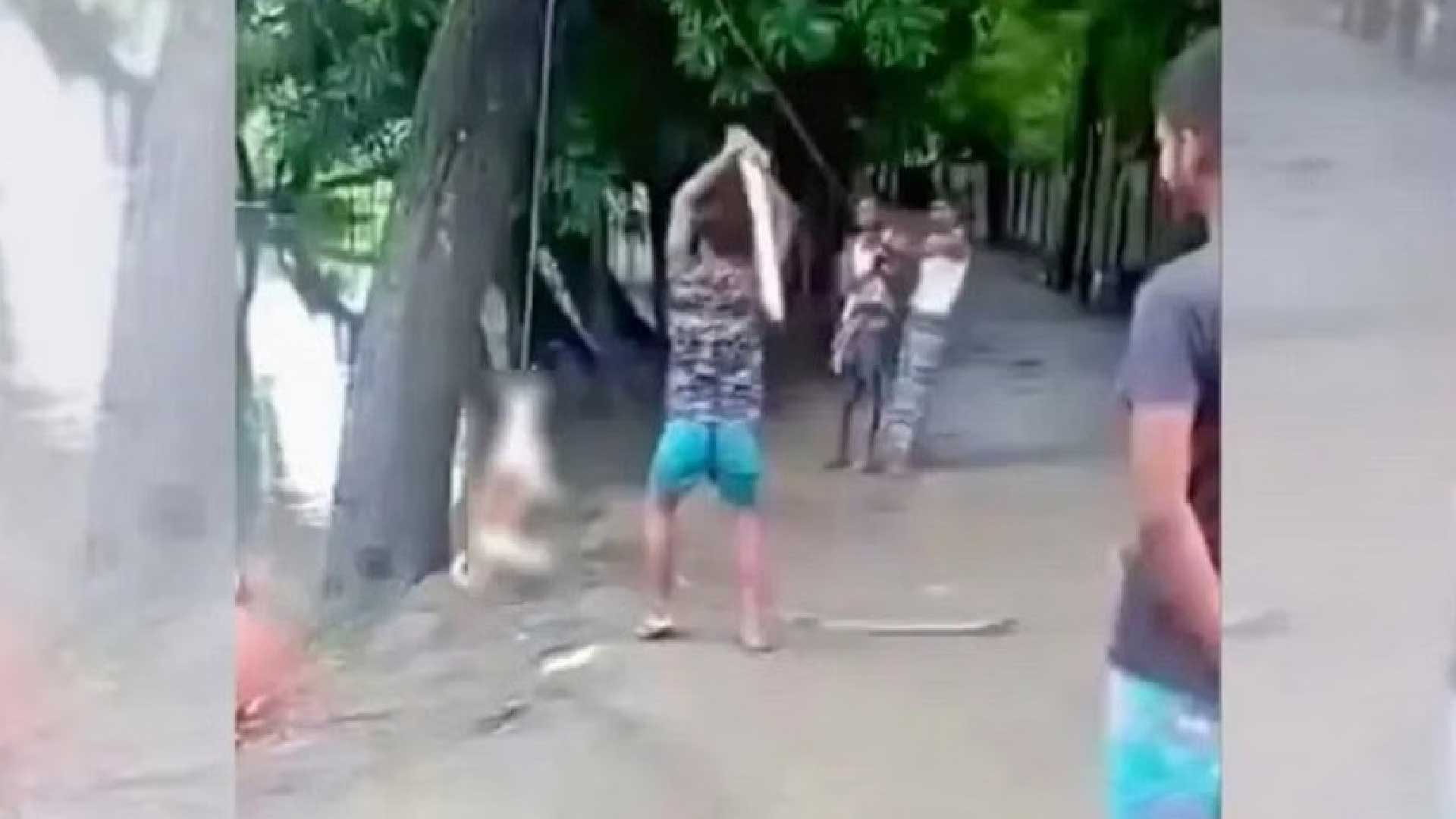 কুকুরকে পিটিয়ে হত্যা: আইনে শাস্তি কী