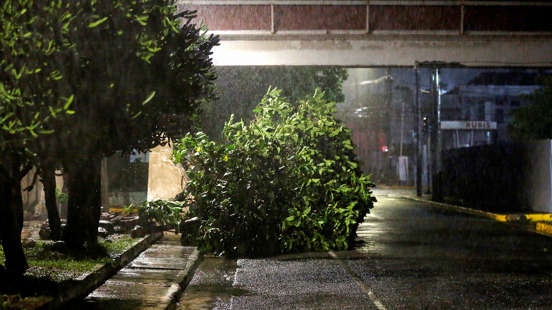 হারিকেন মেলিসা: বছরের সবচেয়ে শক্তিশালী ঝড়ের সামনে জ্যামাইকা