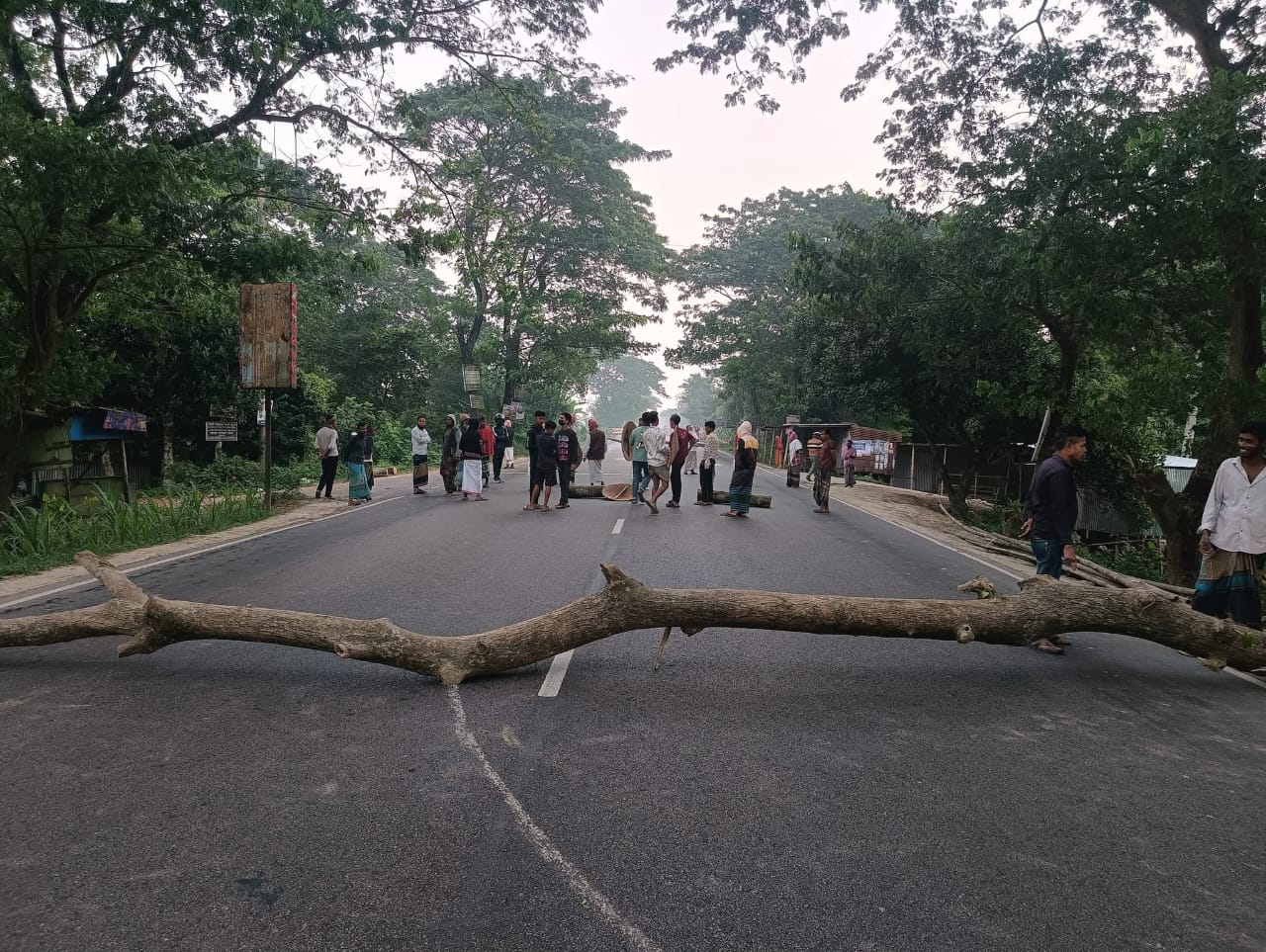 ফরিদপুরে গাছ ফেলে অবরোধ, বাস চলাচল বন্ধ