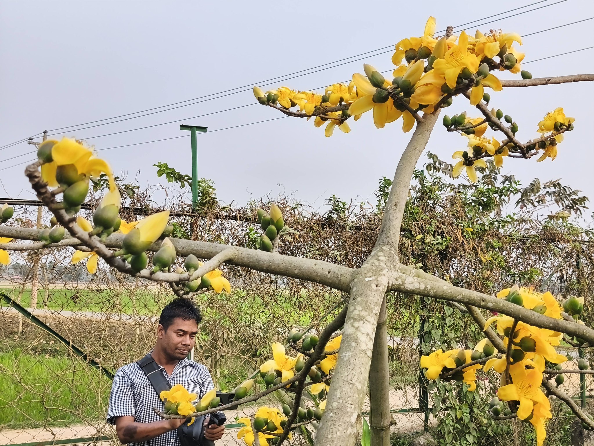 ছবি: মিন্টু দেশোয়ারা/ স্টার