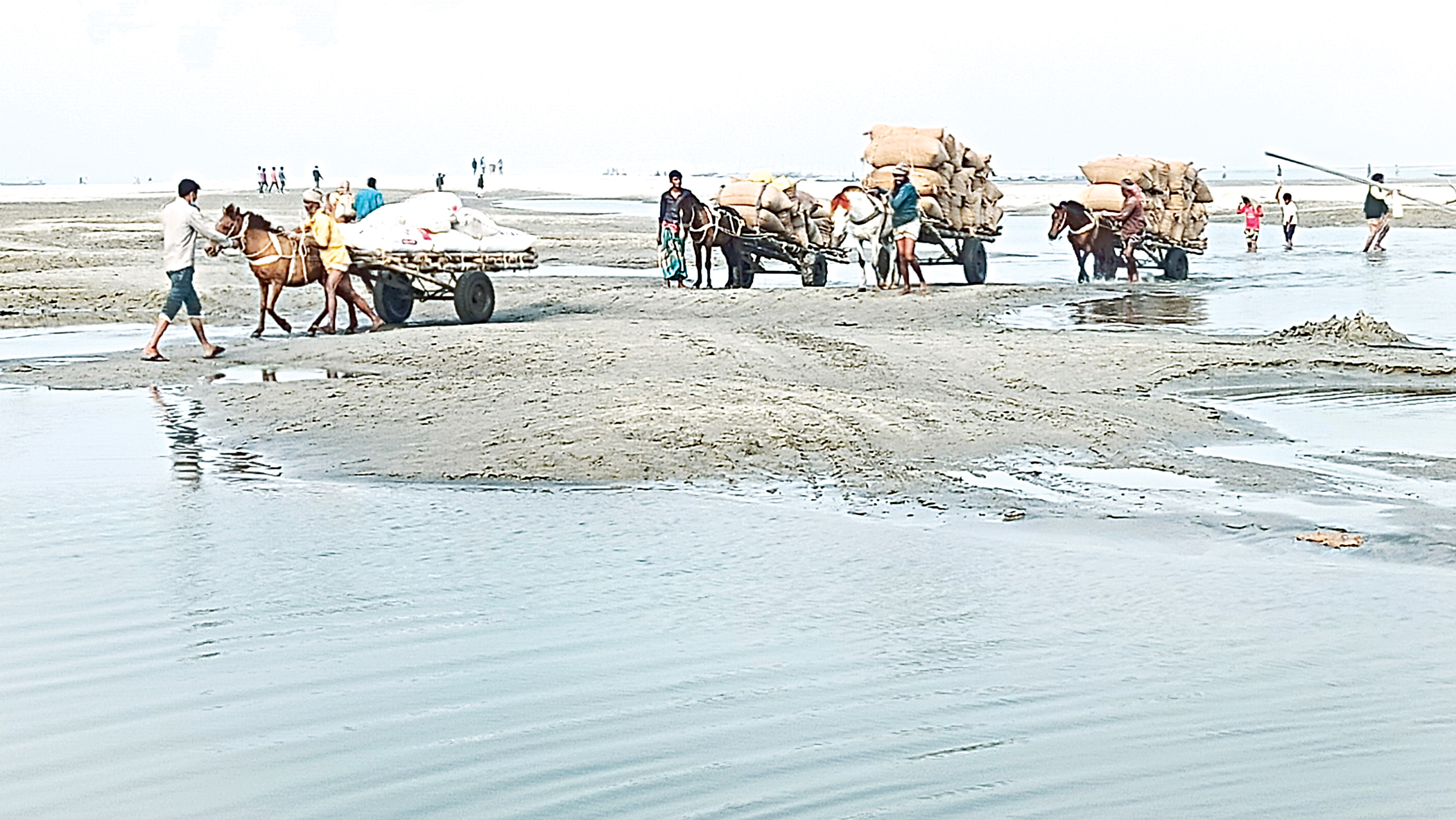 চর
