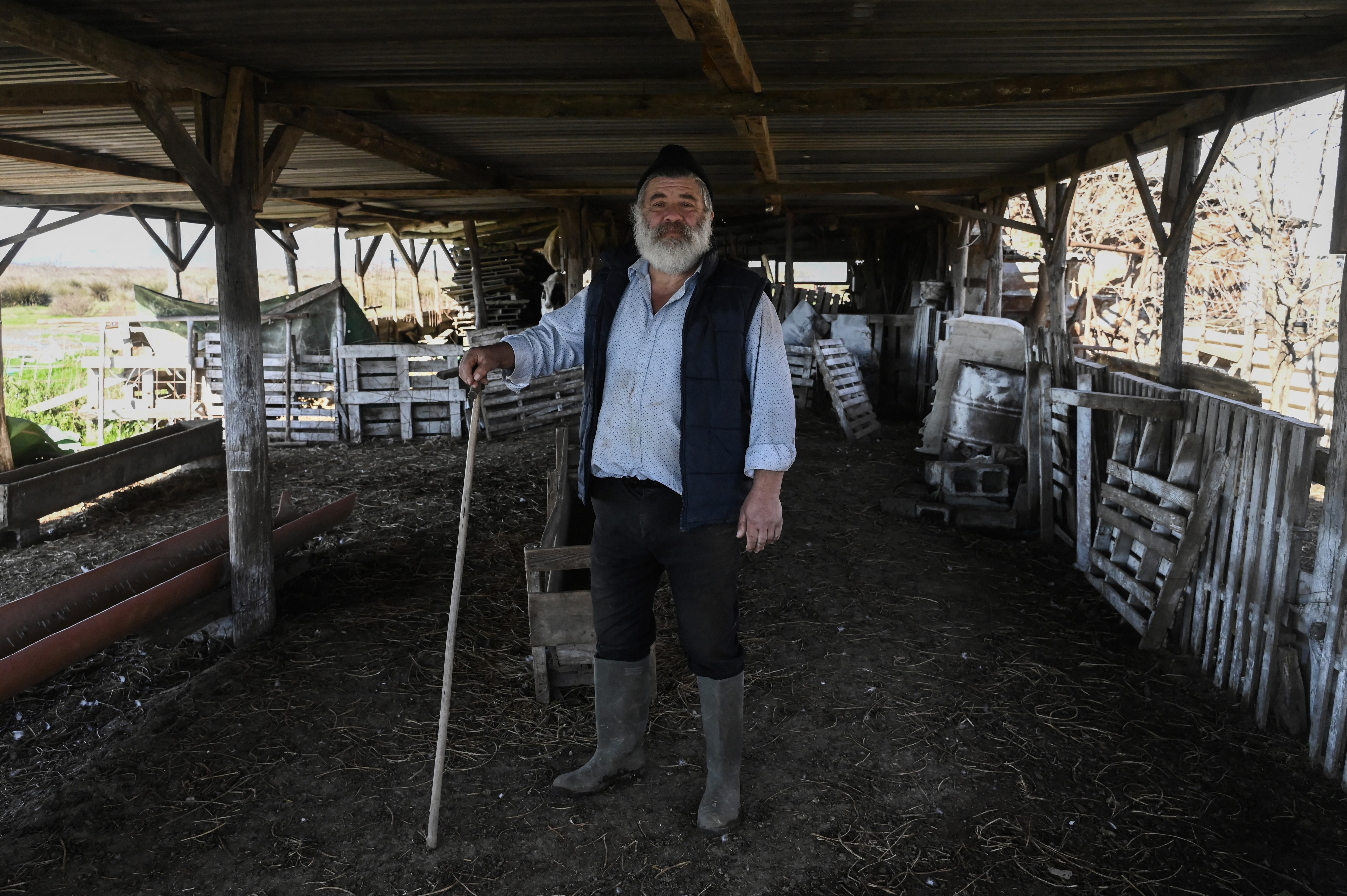 শূন্য গোয়ালের সামনে ছবির জন্য পোজ দেন খামারি কস্তাস থিওফিলোউ। ছবি: এএফপি