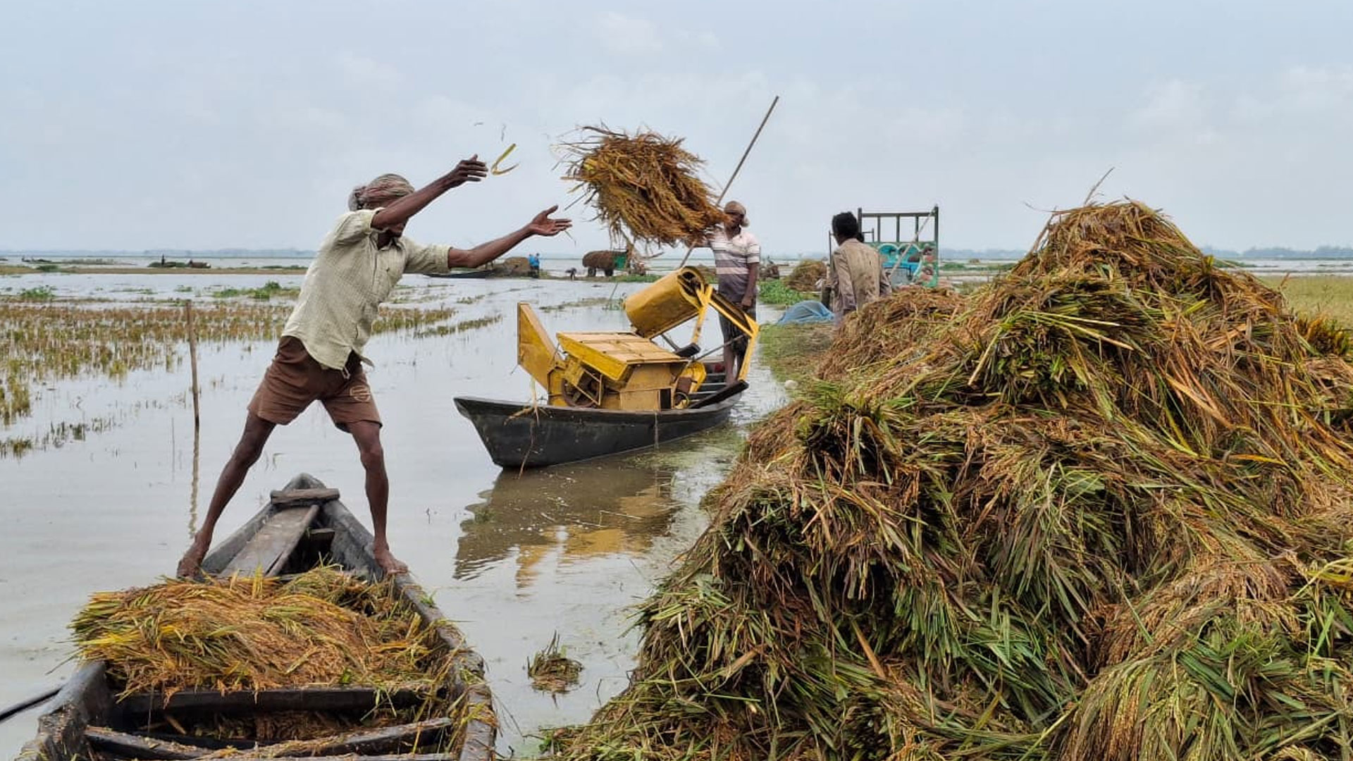 Early floods devastate Habiganj haors