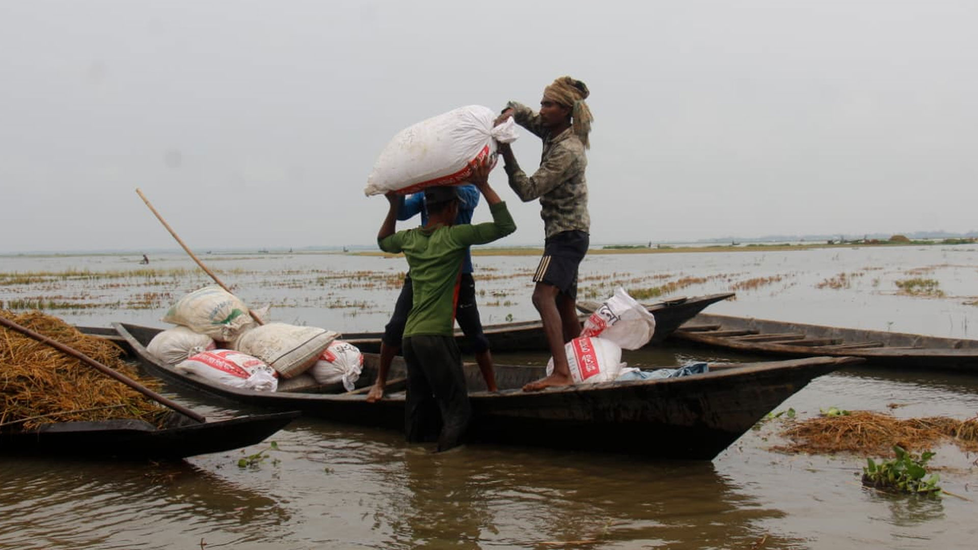 Early floods devastate Habiganj haors