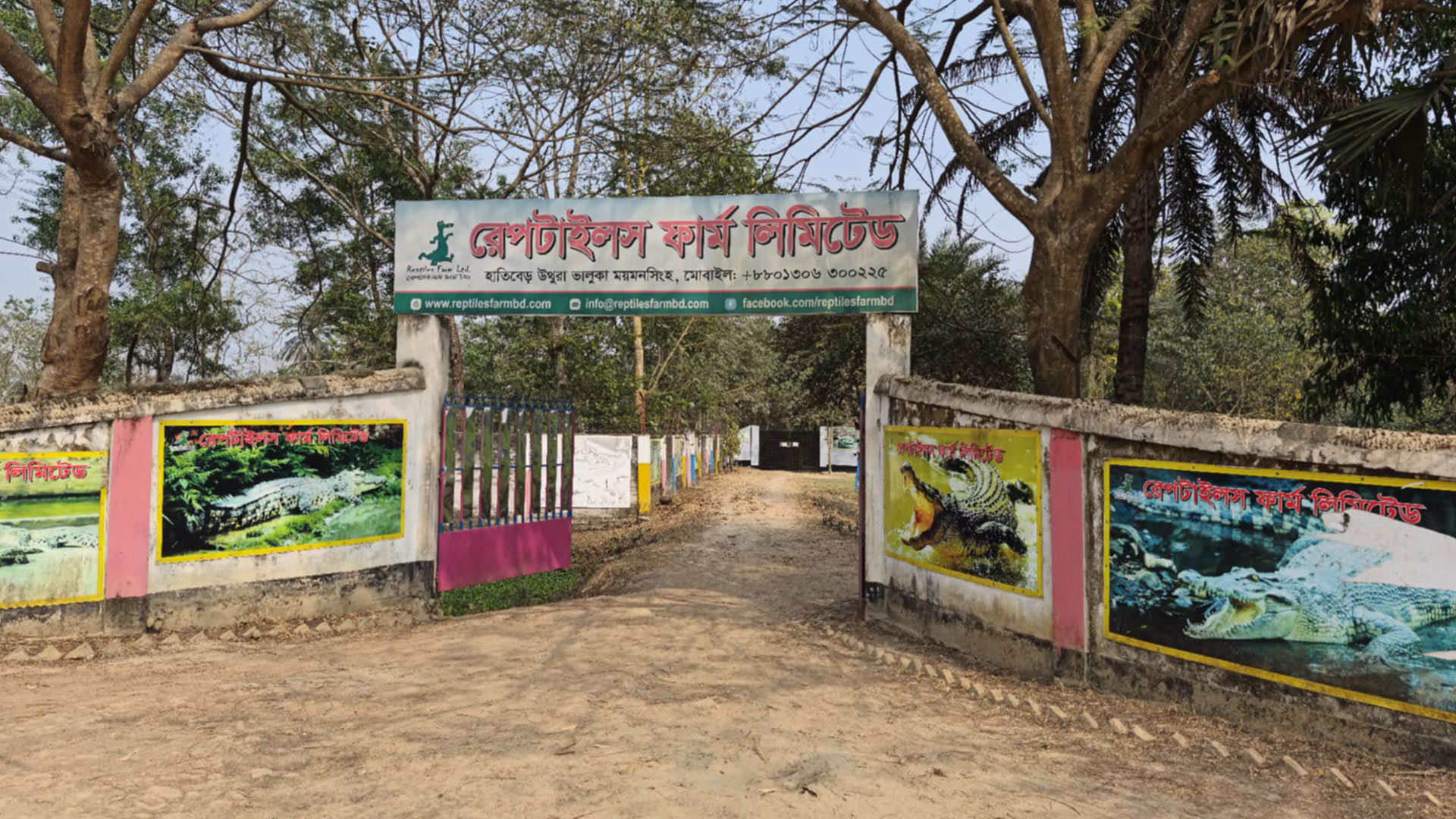 কুমিরের খামার