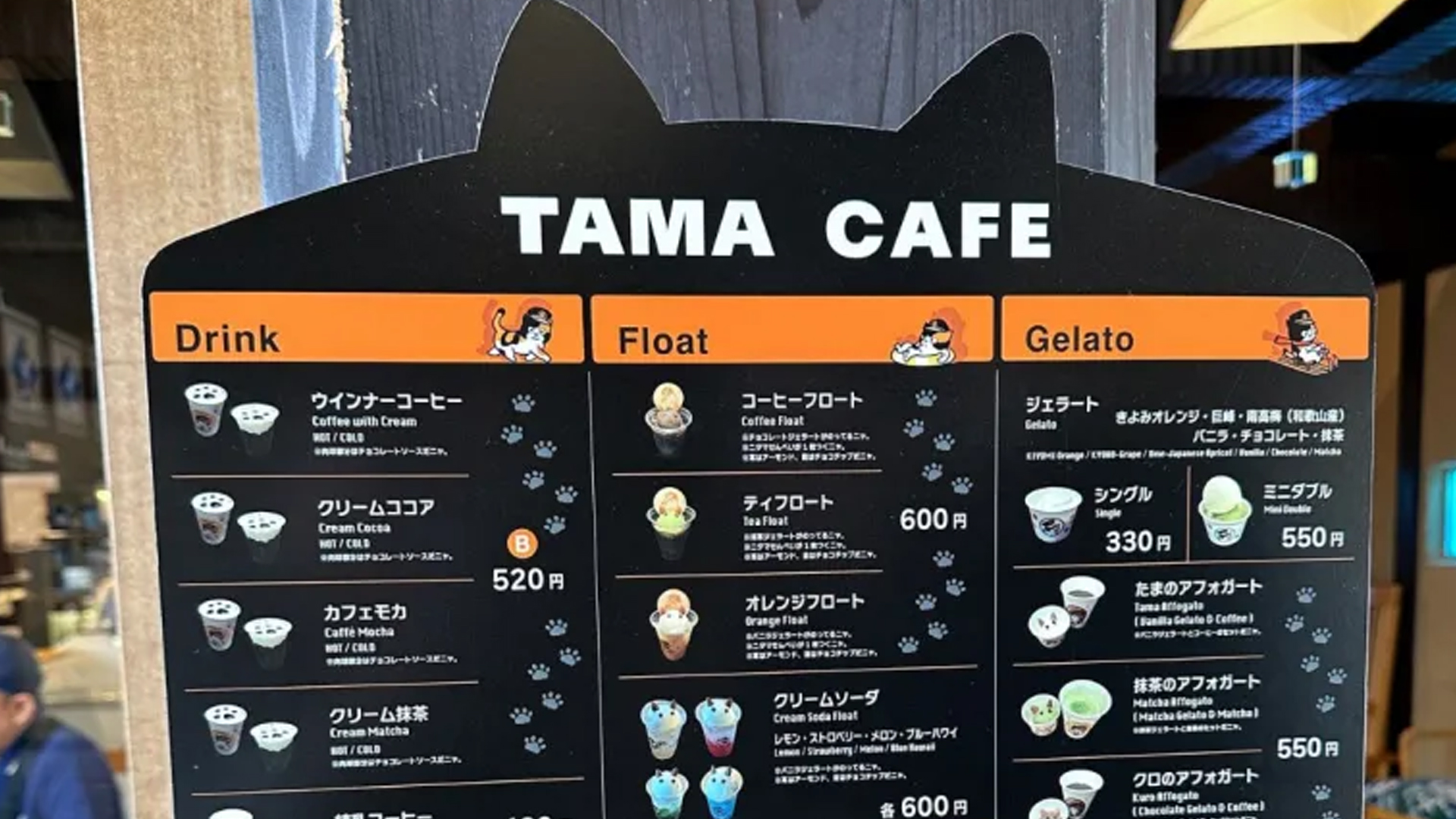 বিড়াল তামার নামে একটি কফিশপ। ছবি: সংগৃহীত