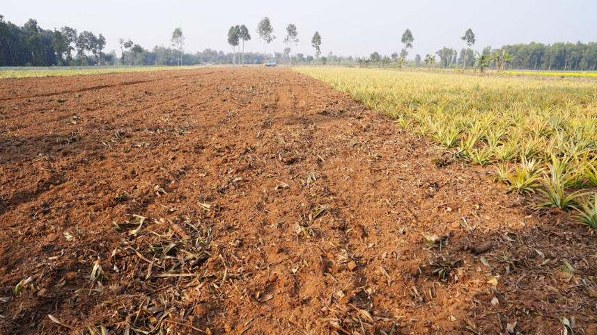 ছবি: স্টার