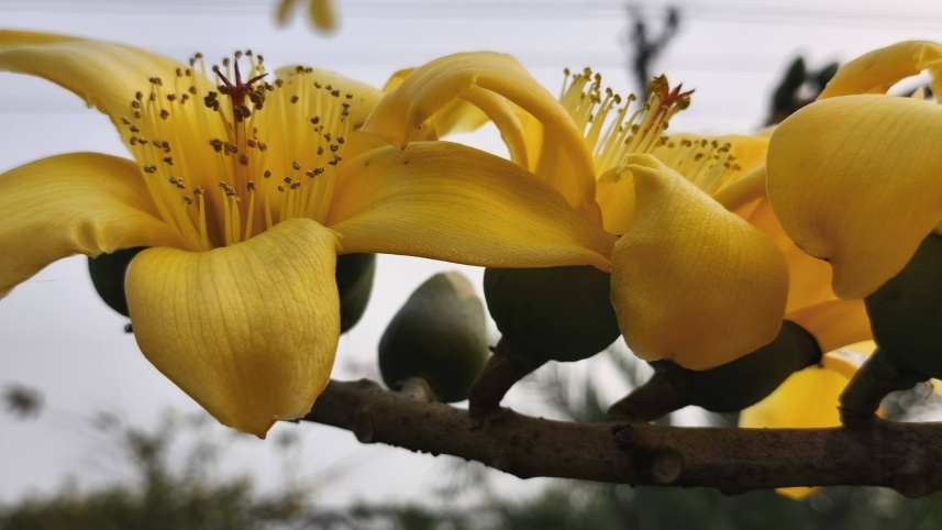 ছবি: মিন্টু দেশোয়ারা/ স্টার