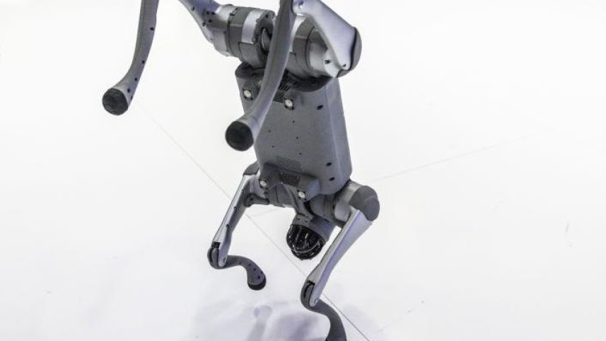 চীনা রোবট কুকুর নিজেদের দাবি করে বিতর্কে ভারতের বিশ্ববিদ্যালয়। ছবি: বিবিসি