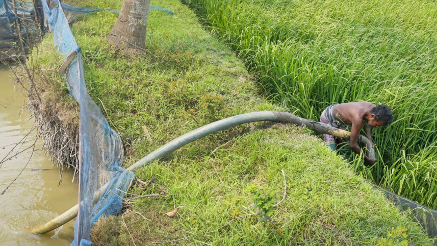 ছবি: হাবিবুর রহমান/স্টার