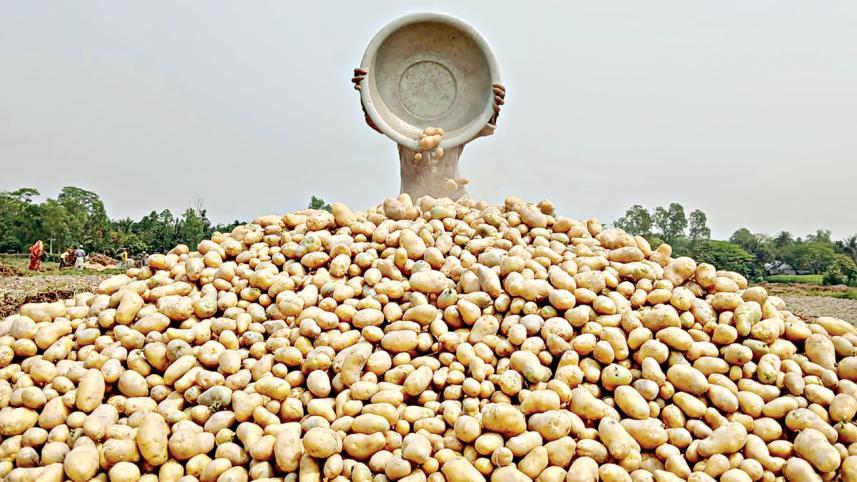 ছবি: স্টার।