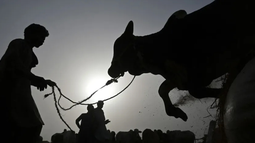 ফাইল ছবি: এএফপি