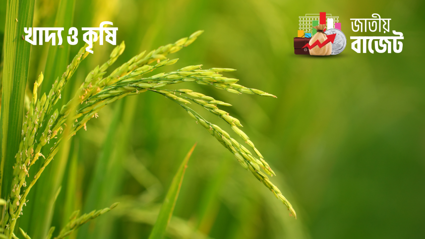 খাদ্য ও কৃষি