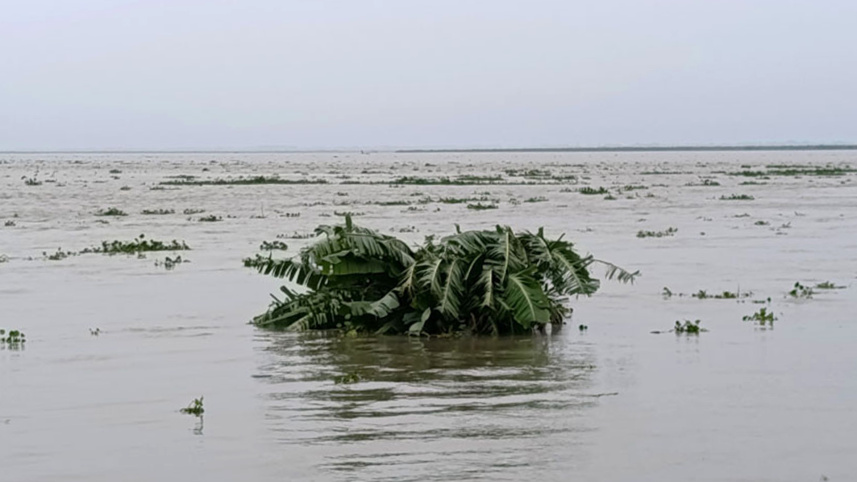 Sirajganj-river-swelling