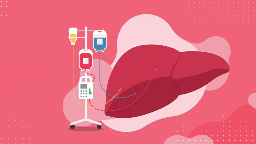 liver 