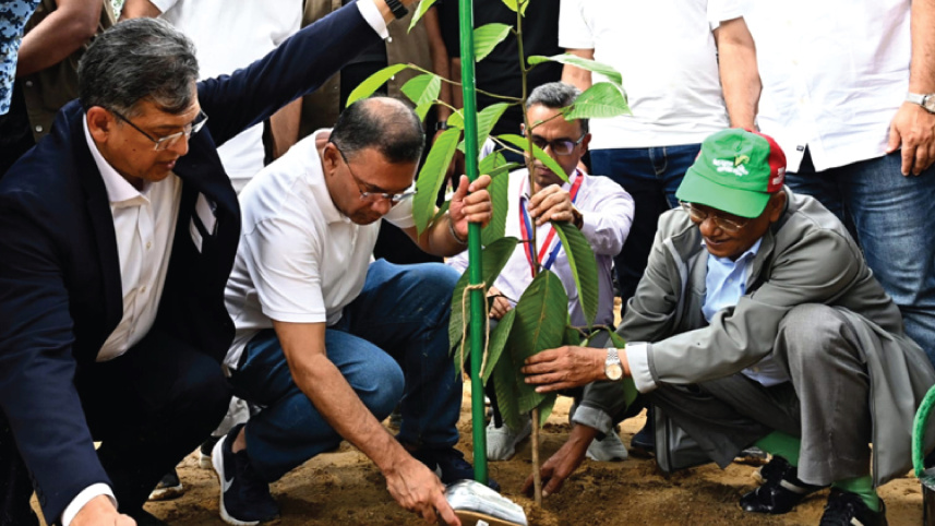 বৃক্ষরোপণ