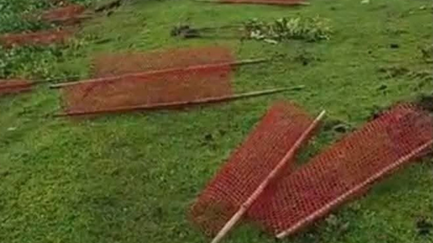 Uprooting Trees Planted in Presence of Deputy Speaker in Netrokona