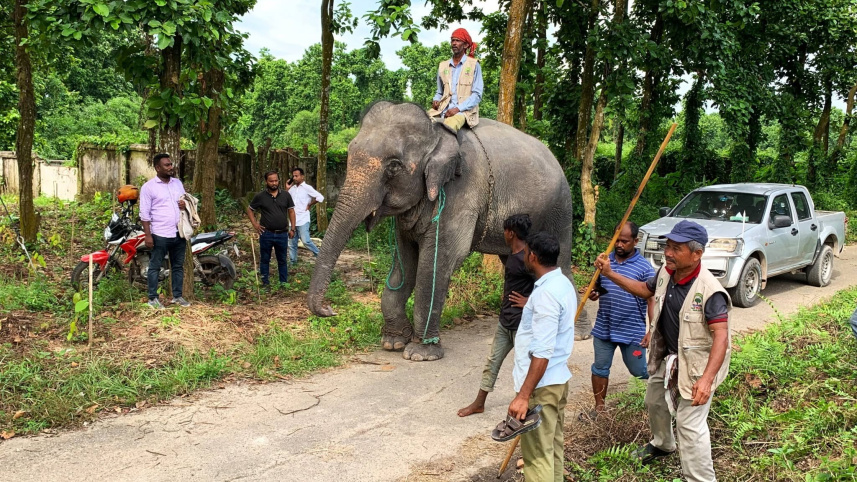 ছবি: সংগৃহীত