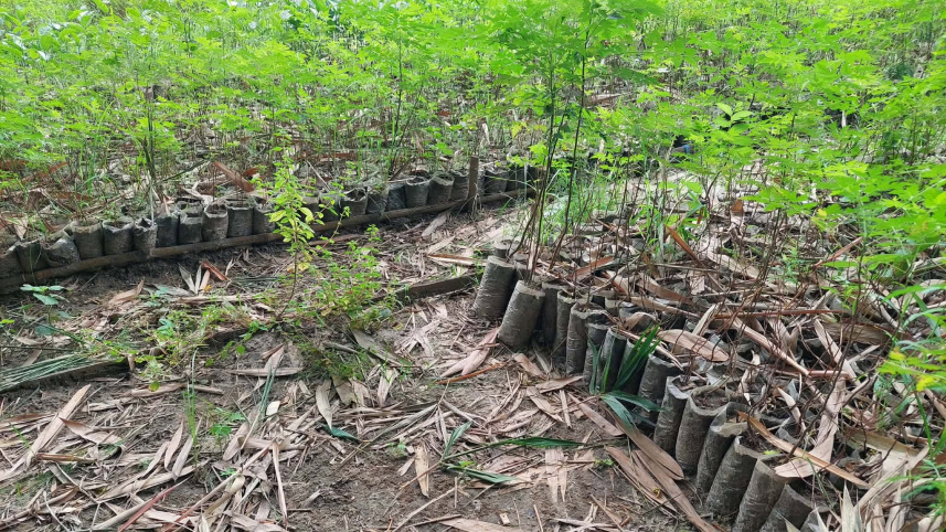 ছবি: স্টার।
