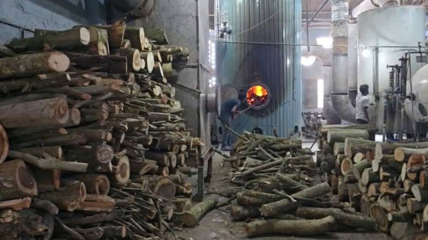 কাঠ পোড়ানো হচ্ছে
