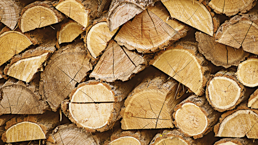 wood