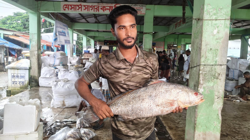  জেলের জালে ধরা পড়া ৮ কেজি ওজনের কালো দাতিনা। ছবি: স্টার