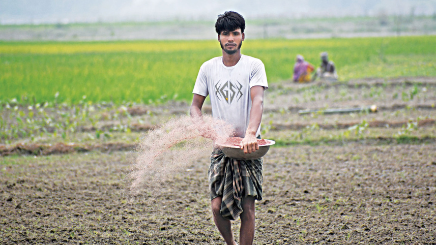 সার