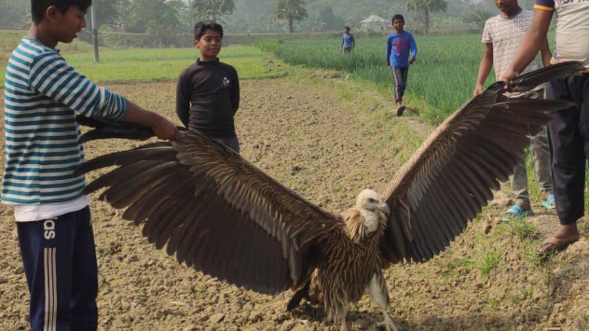 faridpur pic-02.jpg