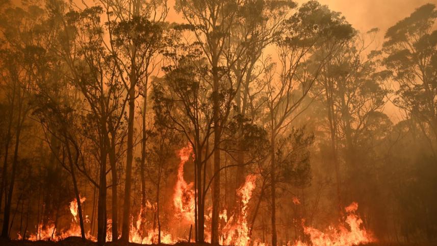 australia bushfire
