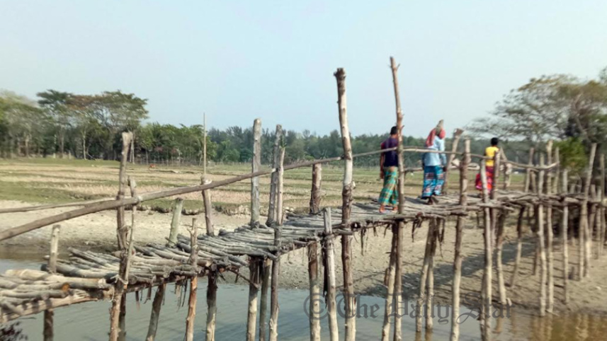 bamboobridge.jpg