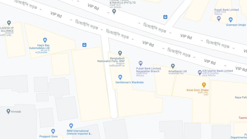 bnp.jpg