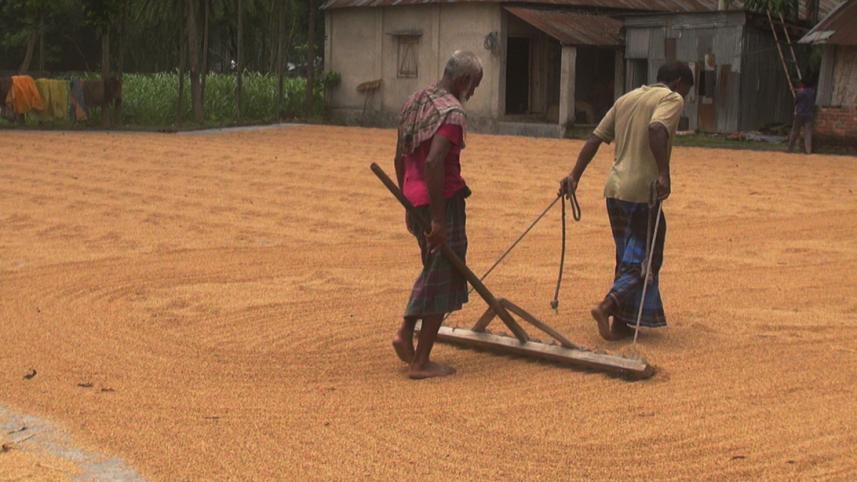 Chatal workers