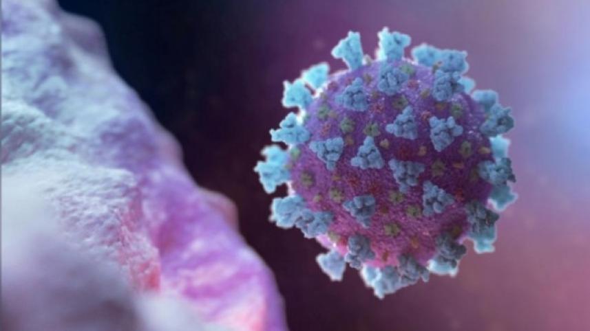 coronavirus-covid19_3_0.jpg