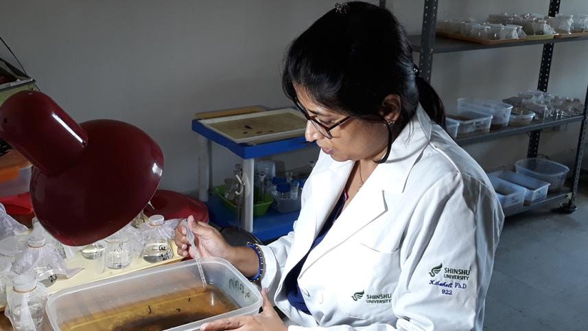 Dr Kajla Seheli