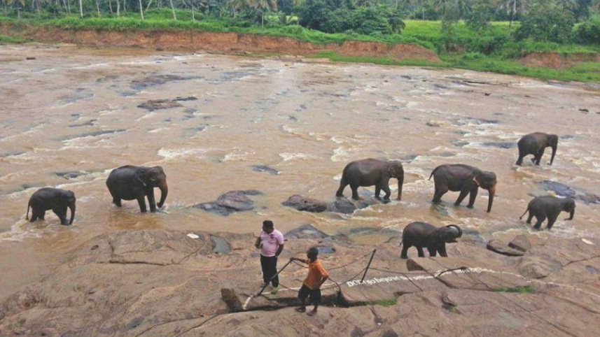 in_the_land_of_the_lion_with_the_sword