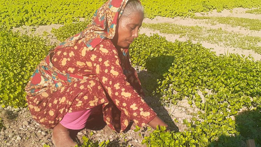Lalmonirhat-22.jpg