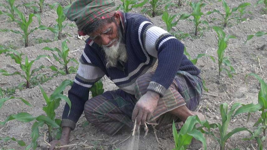 Lalmonirhat-cold-01.jpg