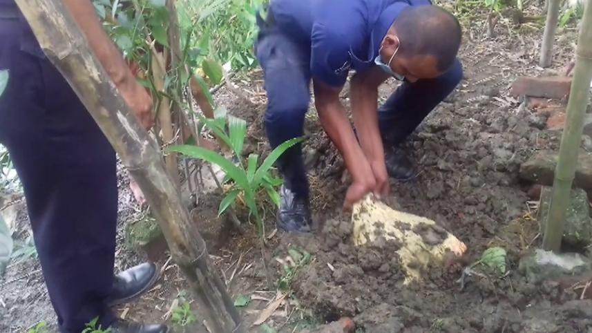 Lalmonirhat medicine-01 (30.jpg