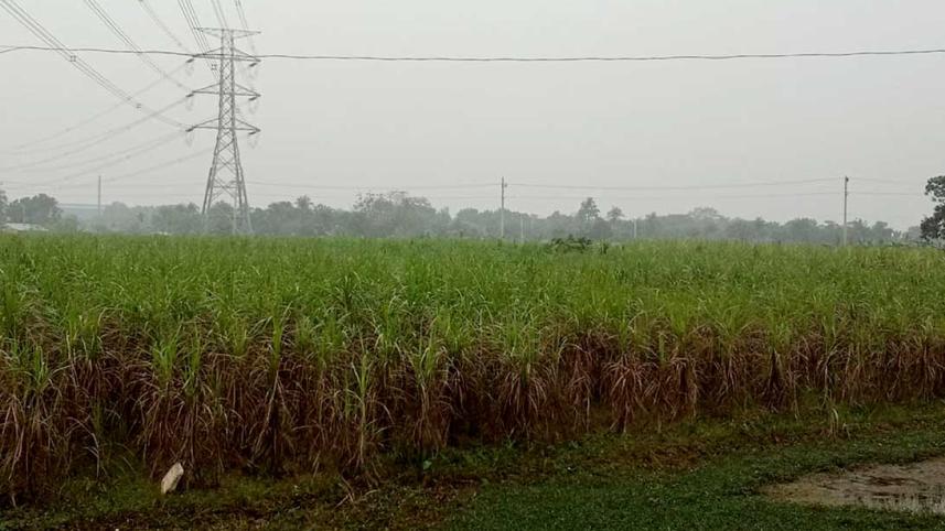 pabna-photo-1.jpg
