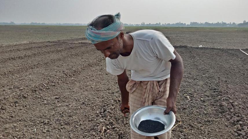 Pabna_Onion_4Dec20.jpg